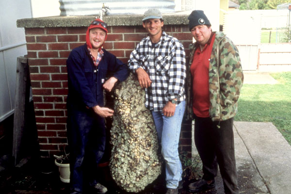The Nugget                                  (2002)