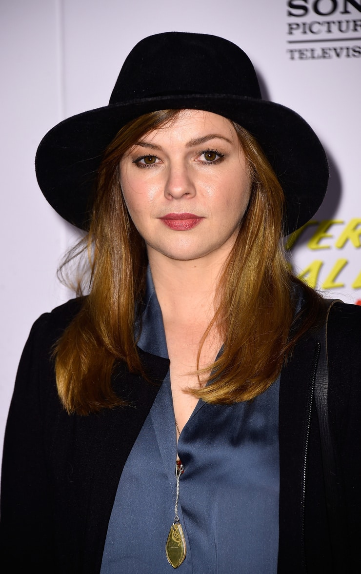 Picture Of Amber Tamblyn