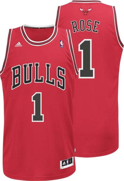 Picture of Chicago Bulls