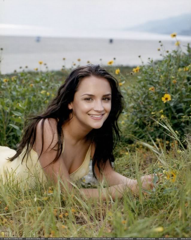 Rachael Leigh Cook