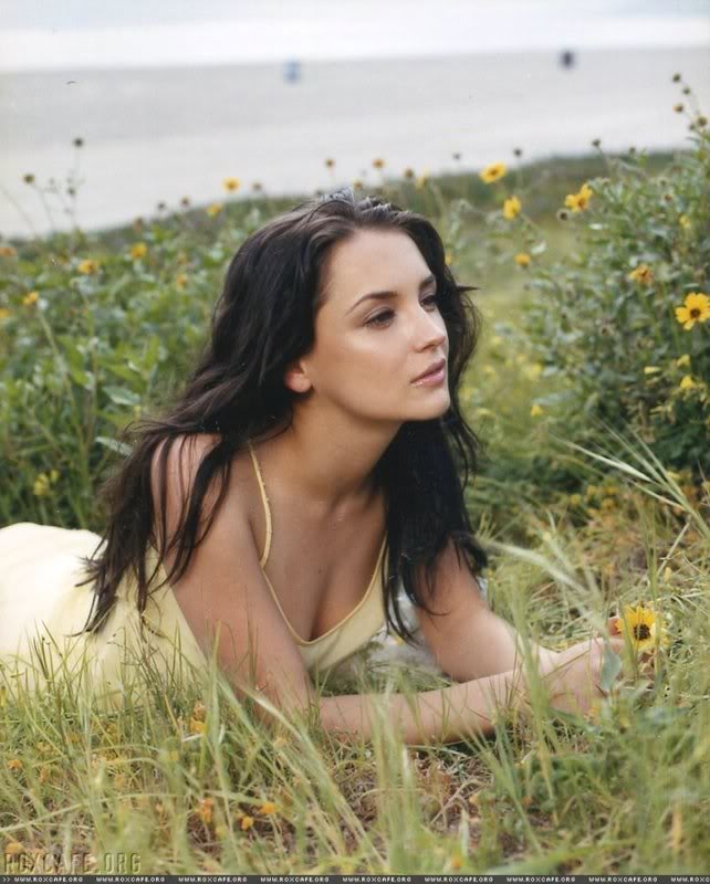 Rachael Leigh Cook