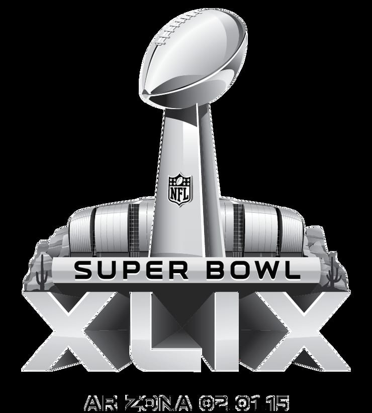 super bowl xlix year