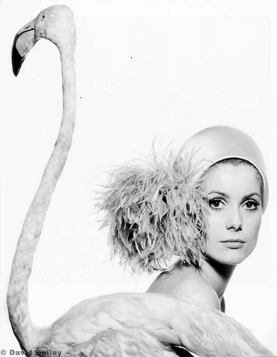 Catherine Deneuve