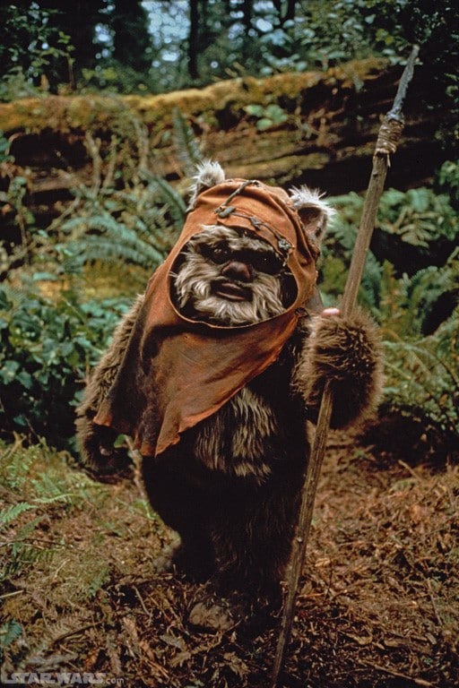 Ewoks: The Battle for Endor