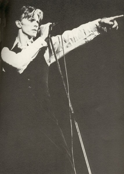 David Bowie