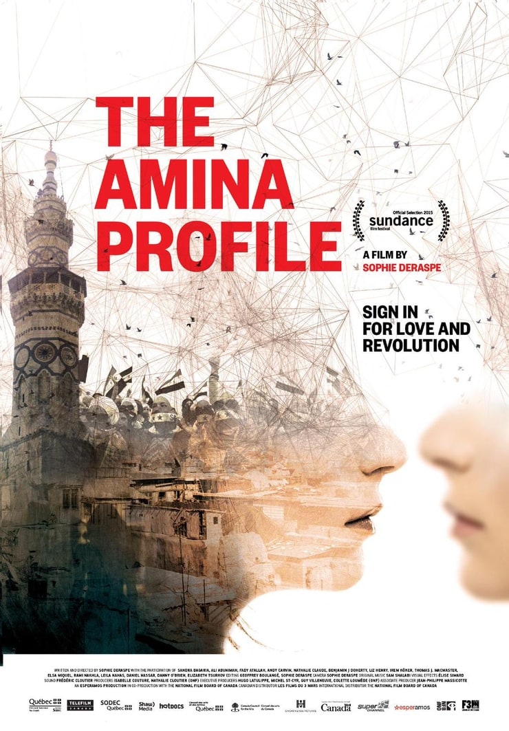 A Gay Girl in Damascus: The Amina Profile                                  (2015)