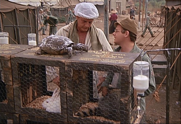 M*A*S*H M*A*S*H