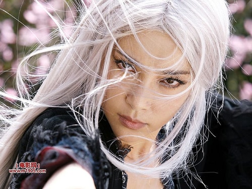Bingbing Li Bingbing Li