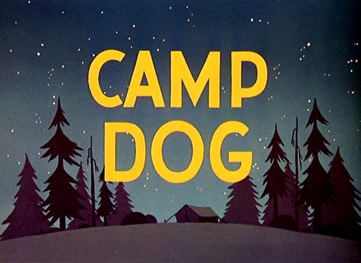 Camp Dog