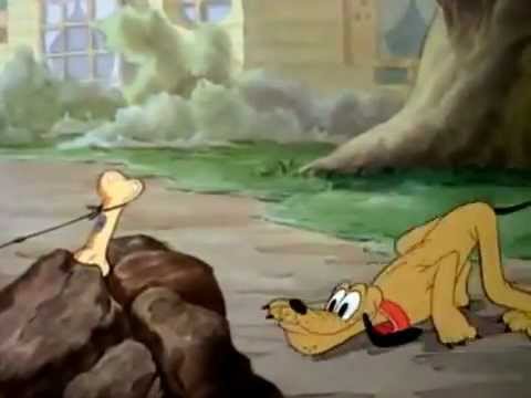 Donald's Dog Laundry Donald's Dog Laundry