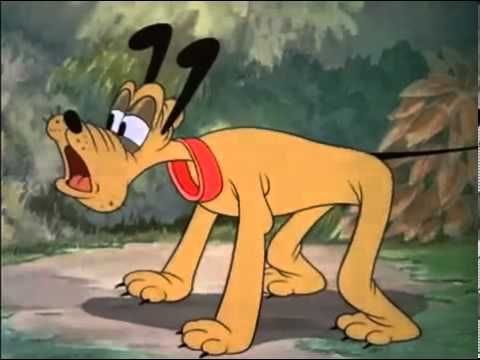 Donald's Dog Laundry Donald's Dog Laundry