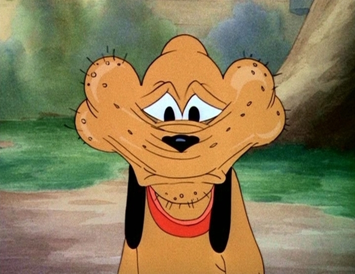 Donald's Dog Laundry