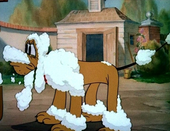 Donald's Dog Laundry