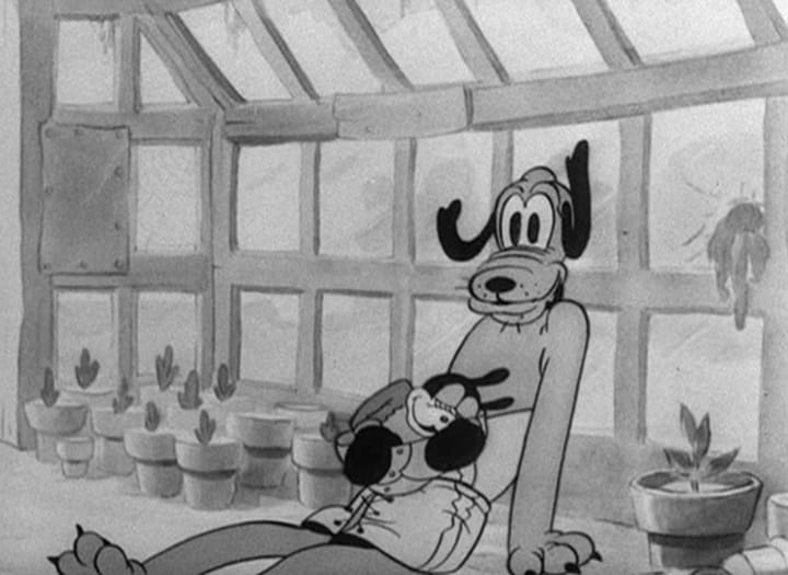 Mickey's Kangaroo Mickey's Kangaroo
