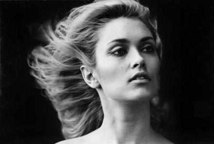 Alexandra Bastedo Alexandra Bastedo