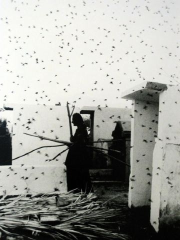 Graciela Iturbide