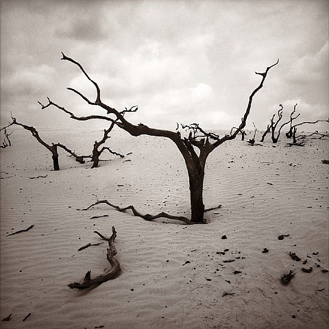 Graciela Iturbide
