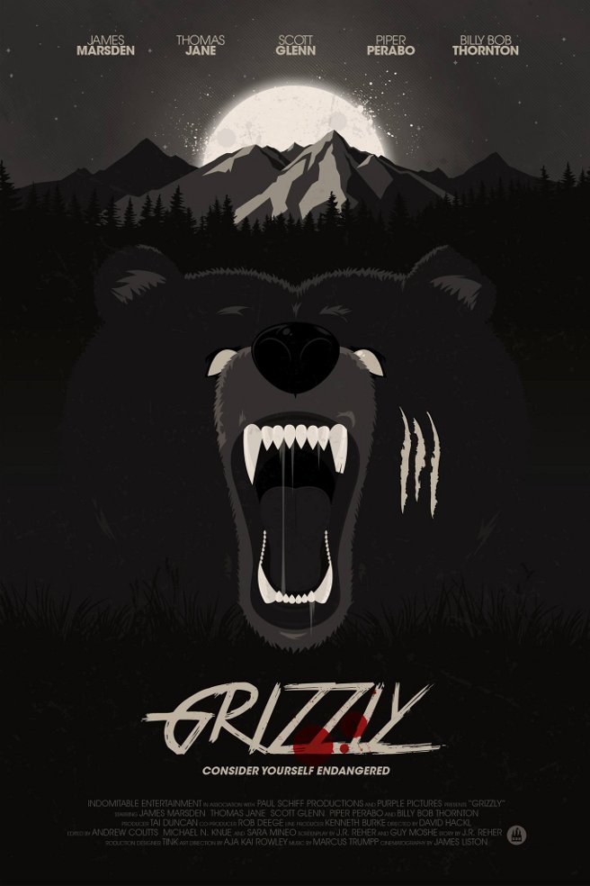 Into the Grizzly Maze