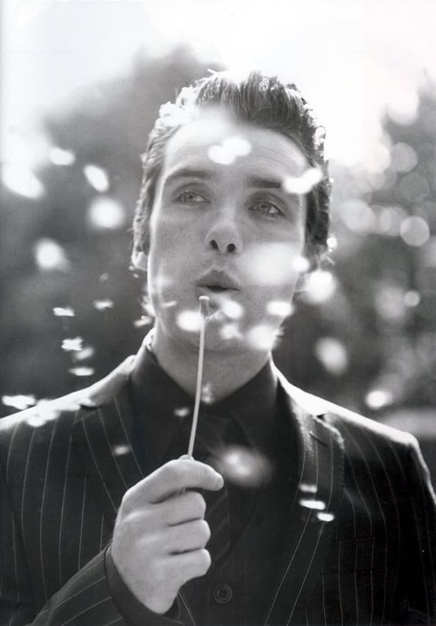 Cillian Murphy Cillian Murphy