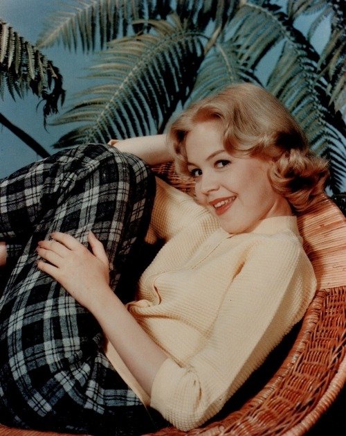 Sandra Dee Sandra Dee