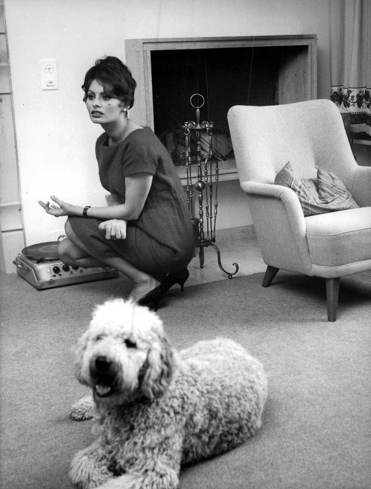 Sophia Loren