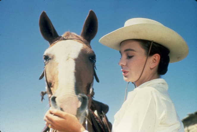 The Big Country (1958)