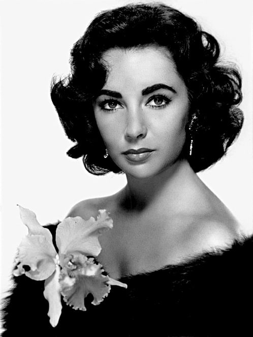 Elizabeth Taylor (c. 1960)