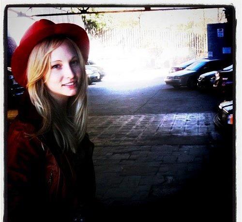 Candice Accola