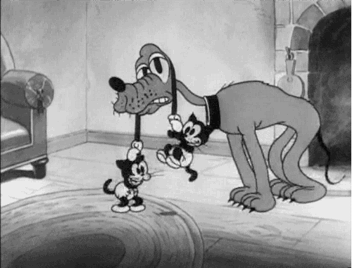 Mickey's Orphans Mickey's Orphans