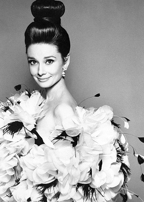 Audrey Hepburn Audrey Hepburn
