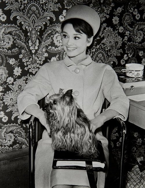 Audrey Hepburn Audrey Hepburn