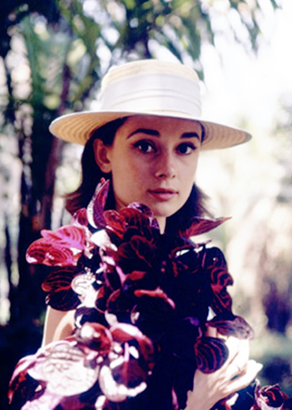 Audrey Hepburn Audrey Hepburn