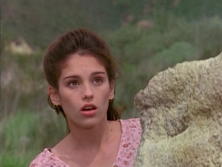 Amy Jo Johnson Fake