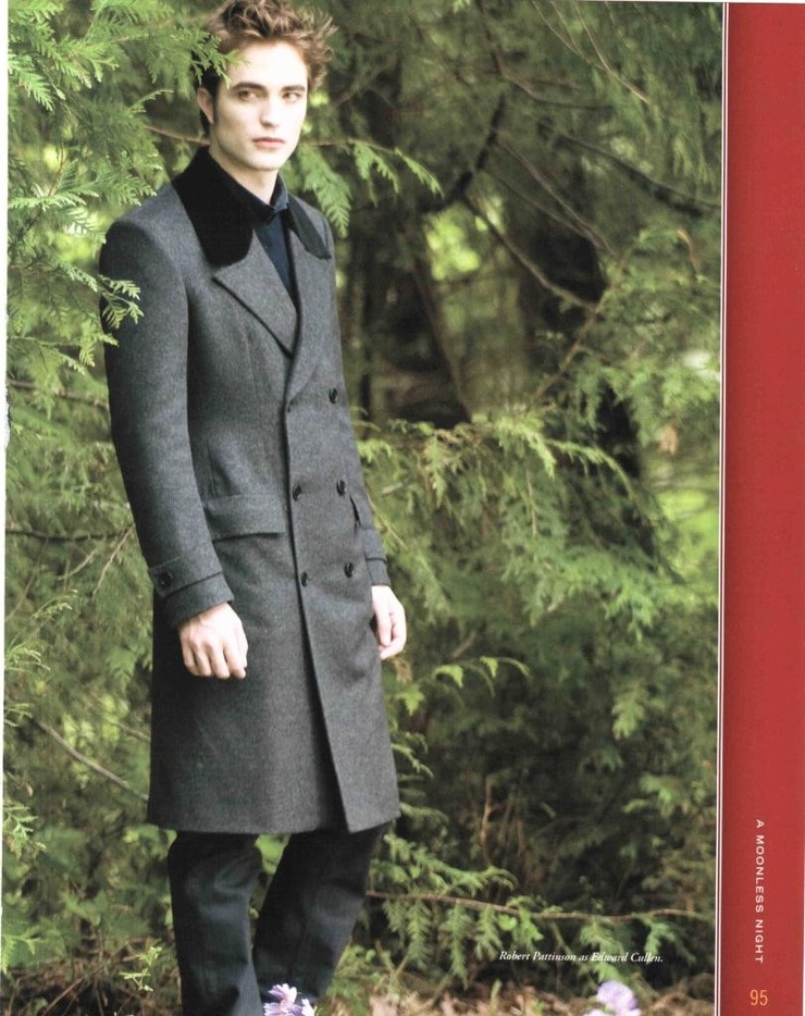The Twilight Saga: New Moon