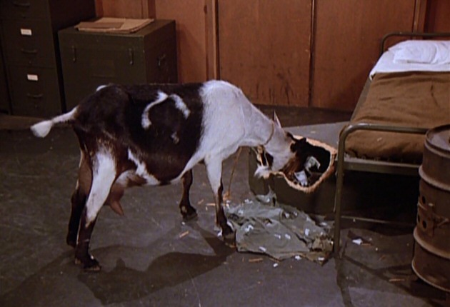 M*A*S*H M*A*S*H