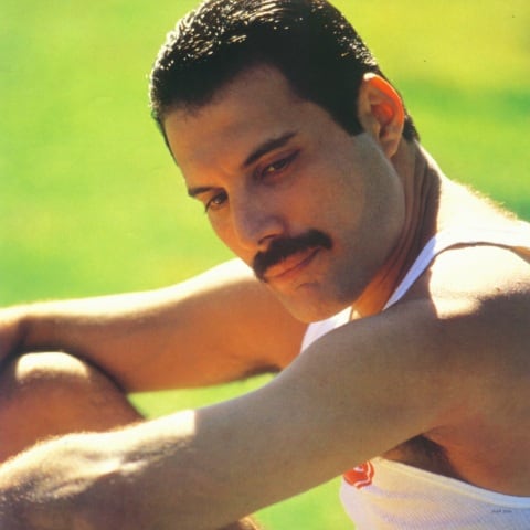 Freddie Mercury Freddie Mercury