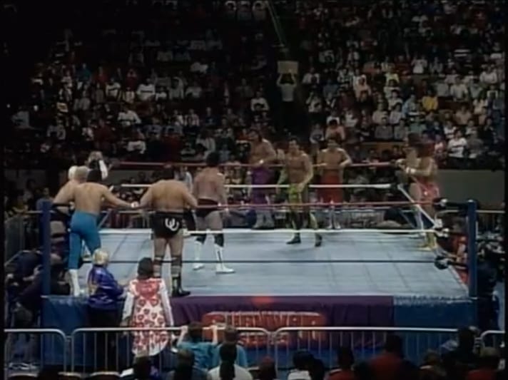 WWF Survivor Series 1987 [VHS]