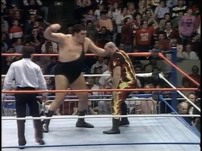 WWF Survivor Series 1987 [VHS]