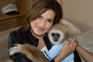 Mariska Hargitay