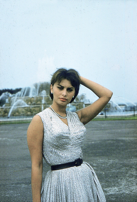 Sophia Loren Sophia Loren