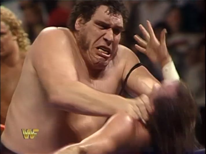 The 2nd Annual WWF Survivor Series [VHS]