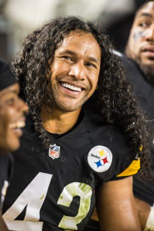 troy polamalu pop