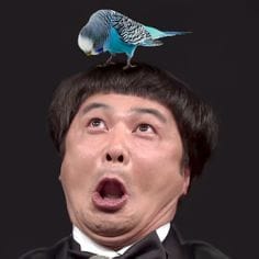 Hôsei Yamasaki