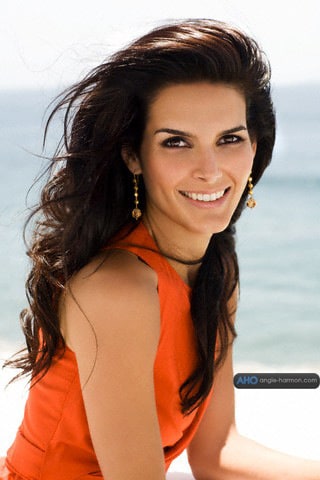 Angie Harmon