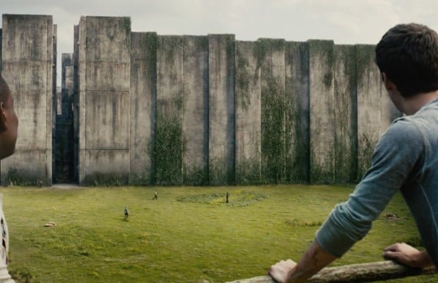The Maze Runner