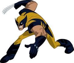 Wolverine (Wolverine and the X-Men)