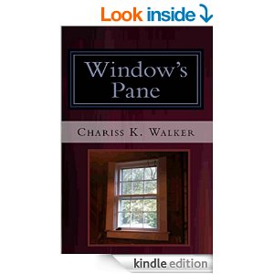 Window's Pane (The Vision Chronicles Book 3)