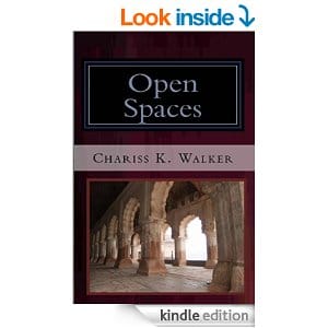 Open Spaces (The Vision Chronicles Book 5)