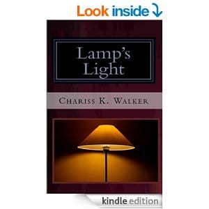 Lamp's Light (The Vision Chronicles Book 7)