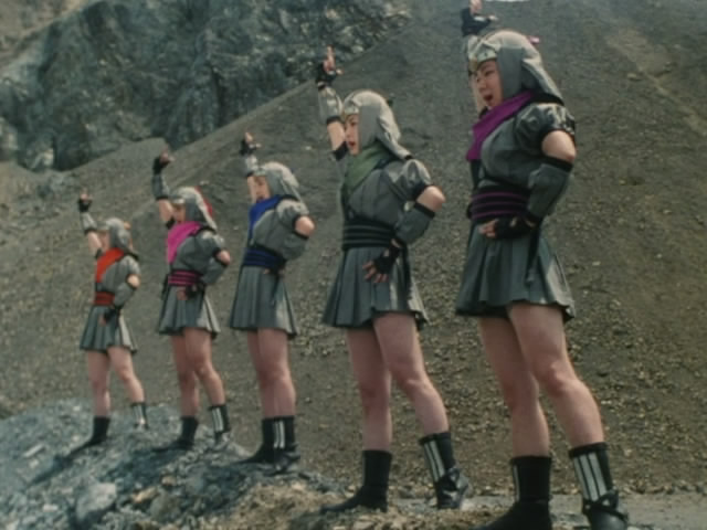 Flower Kunoichi Gang (Hana no Kunoichi-gumi)